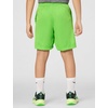 Nike Kids’ Multi Dri-FIT Mesh Shorts(Mean Green/White)