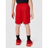 Nike Kids’ Multi Dri-FIT Mesh Shorts(University Red/White)