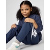 Nike Kids’ Sportswear Club Fleece Joggers (Large Swoosh Logo)(Midnight Navy/White)