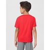 Nike Kids’ Trophy23 Dri-FIT Short-Sleeve Top (Large Swoosh Logo)(University Red)