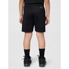 Nike Kids’ Trophy23 Dri-FIT Shorts(Black)