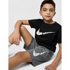 Nike Kids’ Trophy23 Dri-FIT Shorts(Smoke Grey)
