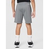 Nike Kids’ Trophy23 Dri-FIT Shorts(Smoke Grey)