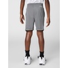 Nike Kids’ Trophy23 Dri-FIT Shorts(Smoke Grey/Phase Out)