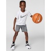 Nike Kids’ Trophy23 Dri-FIT Shorts(Smoke Grey/Phase Out)