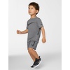 Nike Kids’ Trophy23 Dri-FIT Shorts(Smoke Grey/Smoke Grey/Black)