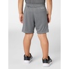 Nike Kids’ Trophy23 Dri-FIT Shorts(Smoke Grey/Smoke Grey/Black)