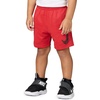 Nike Kids’ Trophy23 Dri-FIT Shorts(University Red/Phase Out)