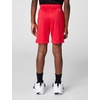 Nike Kids’ Trophy23 Dri-FIT Shorts(University Red/Phase Out)