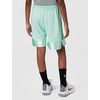 Nike Unisex Big Kids’ Elite 23 Dri-Fit Basketball Shorts – Boys and Girls(Mint Foam/White)