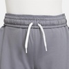 Nike Unisex Big Kids’ Elite 23 Dri-Fit Basketball Shorts – Boys and Girls(Smoke Grey/White)