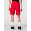 Nike Unisex Big Kids’ Elite 23 Dri-Fit Basketball Shorts – Boys and Girls(University Red/White)