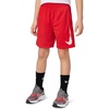 Nike Kids’ Trophy23 Dri-FIT Shorts(University Red)