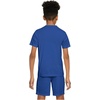 Nike Unisex Big Kids’ Legend Dri-FIT T-Shirt – Boys and Girls(Game Royal)