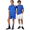 Nike Unisex Big Kids’ Legend Dri-FIT T-Shirt – Boys and Girls(Game Royal)