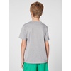 Nike Unisex Big Kids’ Legend Dri-FIT T-Shirt – Boys and Girls(Tumbled Grey/Flat Silver/Heather)
