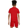 Nike Unisex Big Kids’ Legend Dri-FIT T-Shirt – Boys and Girls(University Red)