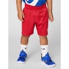 Nike Boys’ Dri-FIT Sportswear T-Shirt and Mesh Shorts 2-Piece Outfit Set(University Red/Game Royal)