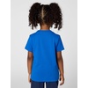 Nike Kids’ Sportswear Club T-Shirt(Game Royal)