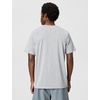Nike Men’s Dri-FIT Legend Fitness T-Shirt(Tumbled Grey/Flt Silver/Heather/Black)
