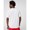 Nike Men’s Dri-FIT Legend Fitness T-Shirt(White/Black)