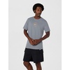 Nike Men’s Dri-FIT Training T-Shirt; Front and Back Graphic Workout Tee(Smoke Grey)