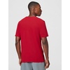 Nike Men’s Dri-fit ‘Winning’ Graphic T-Shirt(Tough Red/Light Crimson)