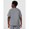Nike Unisex Big Kids’ Multi Dri-FIT Short-Sleeve Top (Large Swoosh Logo) – Boys and Girls(Smoke Grey/White)