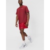 Nike Men’s Miler Dri-FIT 5″ Brief-Lined Running Shorts(Tough Red/Sport Red/Reflective Silver)