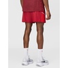 Nike Men’s Miler Dri-FIT 5″ Brief-Lined Running Shorts(Tough Red/Sport Red/Reflective Silver)