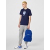 Nike Unisex Adult Gameday Brasilia Mesh Backpack (27L) | Mens and Womens(Game Royal/Game Royal/White)