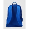 Nike Unisex Adult Gameday Brasilia Mesh Backpack (27L) | Mens and Womens(Game Royal/Game Royal/White)