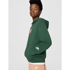 Nike Big Kids’ Sportswear Club French Terry Hoodie – Boys Girls Sweatshirt(Fir/White/(Club Fam))