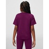 Nike Girls’ Sportswear Club Modern Script Boyfriend T-Shirt(Bordeaux)