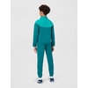 Nike Unisex Adult Nike Windrunner(Bright Spruce/Energy/White)