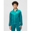 Nike Unisex Adult Nike Windrunner(Bright Spruce/Energy/White)