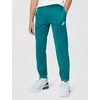 Nike Unisex Adult Nike Windrunner(Bright Spruce/Energy/White)