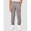 Nike Unisex Adult Nike Windrunner(Cave Stone/Moon Particle/White)