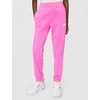 Nike Unisex Adult Nike Windrunner(Playful Pink/Pink Rise/White)