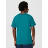 Nike Men’s World Cup T-Shirt – Brazil(Geode Teal)