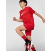 Nike Big Kids’ Legend Dri-FIT T-Shirt (Large Swoosh Logo) – Boys and Girls(University Red)
