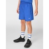 Nike Unisex Big Kids’ Multi Dri-FIT Training Shorts – Boys and Girls(Game Royal/White)