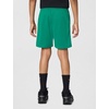 Nike Unisex Big Kids’ Multi Dri-FIT Training Shorts (Large Swoosh Logo) – Boys and Girls(Malachite/White)