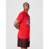 Nike Men’s Sportswear Tee Shirt; Graphic T-Shirt(University Red)