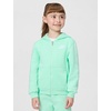 Nike Kids’ Sportswear Club Fleece Full-Zip Hoodie and Joggers 2-Piece Outfit Set(Mint Foam)