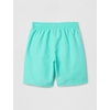 Nike Boys’ Big Kids’ 6″ Volley Shorts(Bleached Turq)
