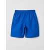 Nike Boys’ Big Kids’ 6″ Volley Shorts(Game Royal)