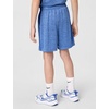 Nike Boys’ Dri-FIT Heathered Shorts(Game Royal Heather)