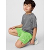 Nike Boys’ Dri-FIT Heathered Shorts(Mean Green Heather)