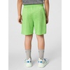 Nike Boys’ Dri-FIT Heathered Shorts(Mean Green Heather)